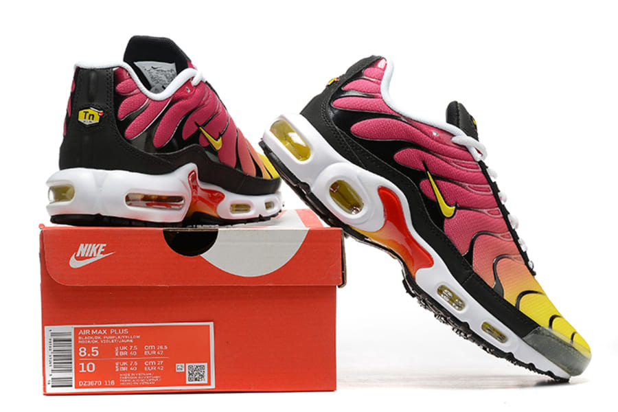Tênis Air Max TN Plus Raibow