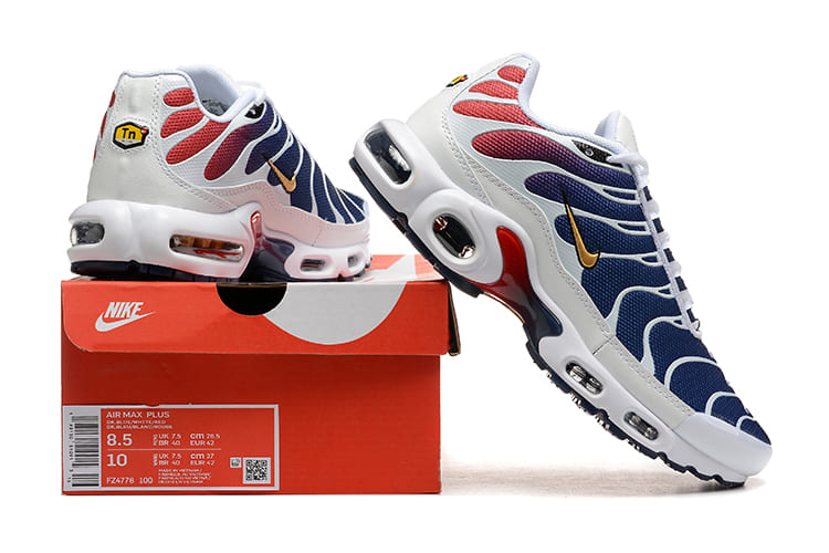 Tênis Air Max TN Plus PSG