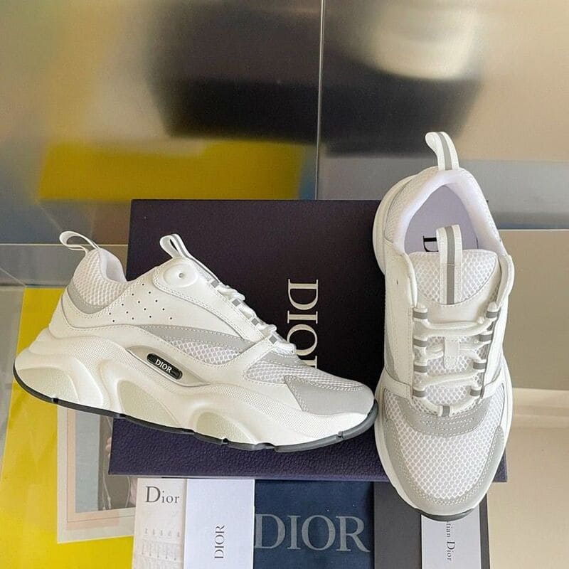 Tênis Dior B22 'White Grey'